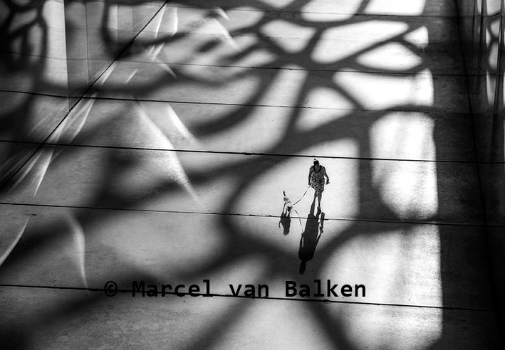 090503-Marcel-van-BalkenSmallcopyright