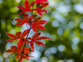 09asDSC03008
