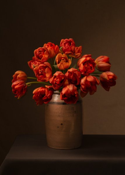 04Tulips-in-Time-4