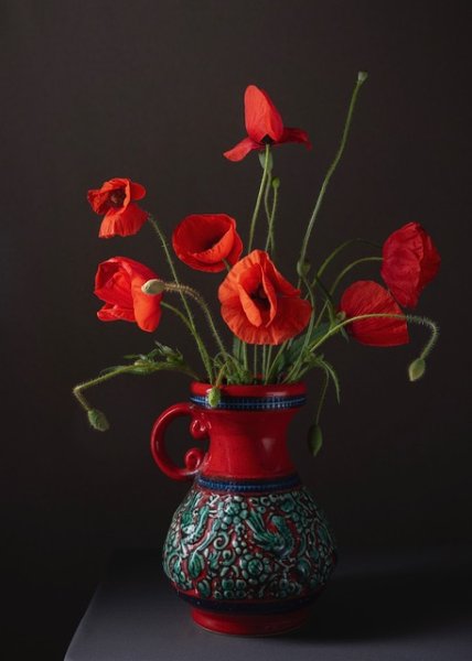 05Poppies-in-Time-5