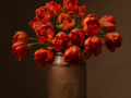 04Tulips-in-Time-4