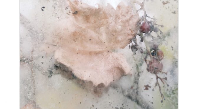 fotograaf Bert Strootman