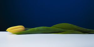 fotograaf: marielle van der Putte