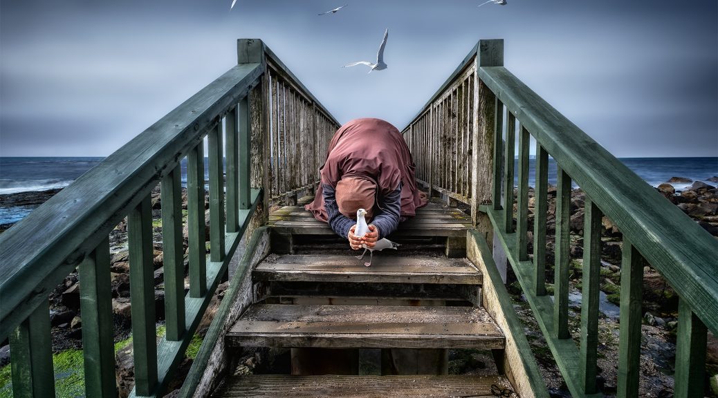 fotograaf: Hans van der Pol