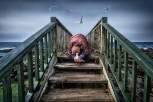 fotograaf: Hans van der Pol