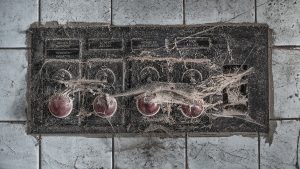 fotograaf: Bert Strootman