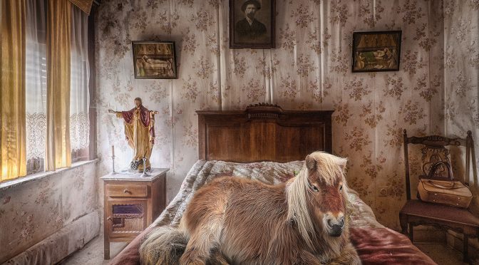 fotograaf: Marcel van Balken